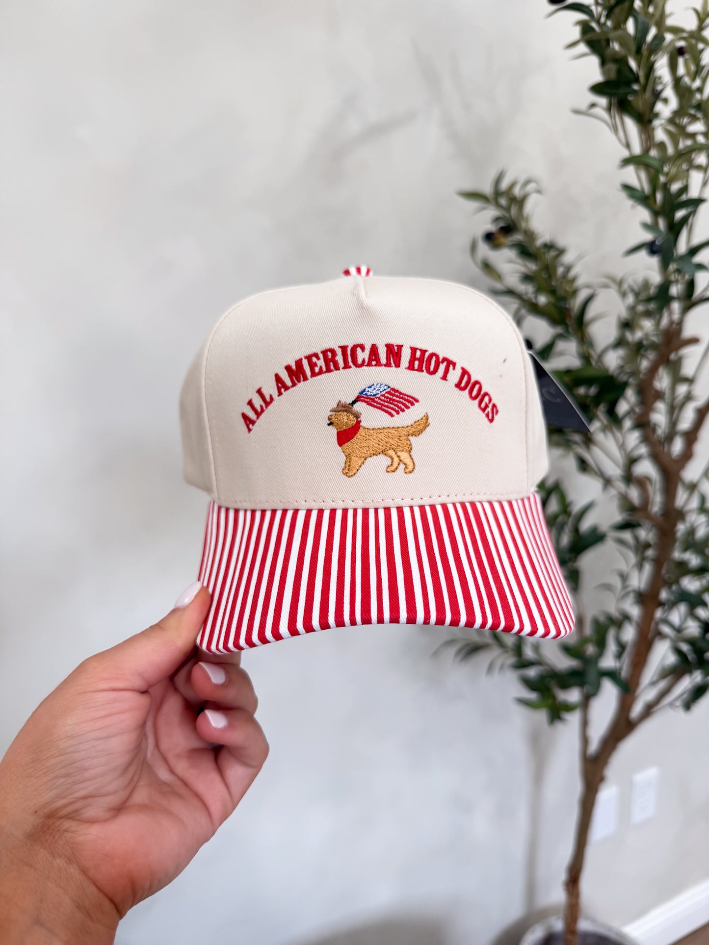 All American Hot Dogs Trucker Hat - red stripe