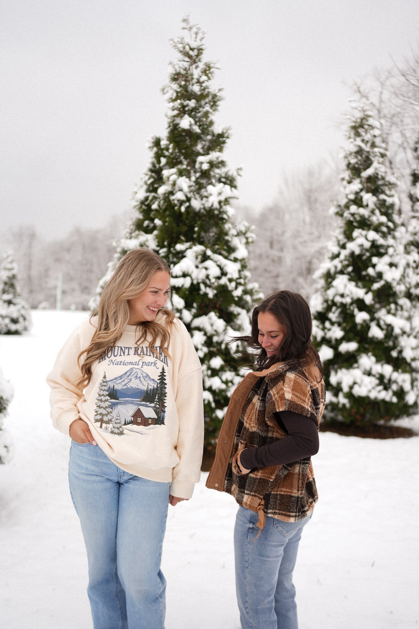 Mt. Rainier luxe Crew Neck