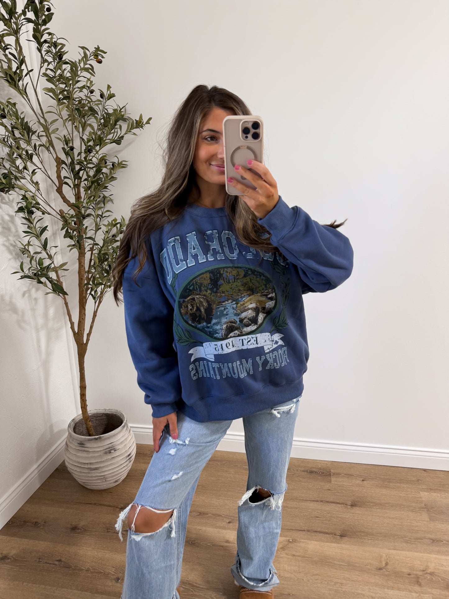 cabin fever - blue colorado graphic