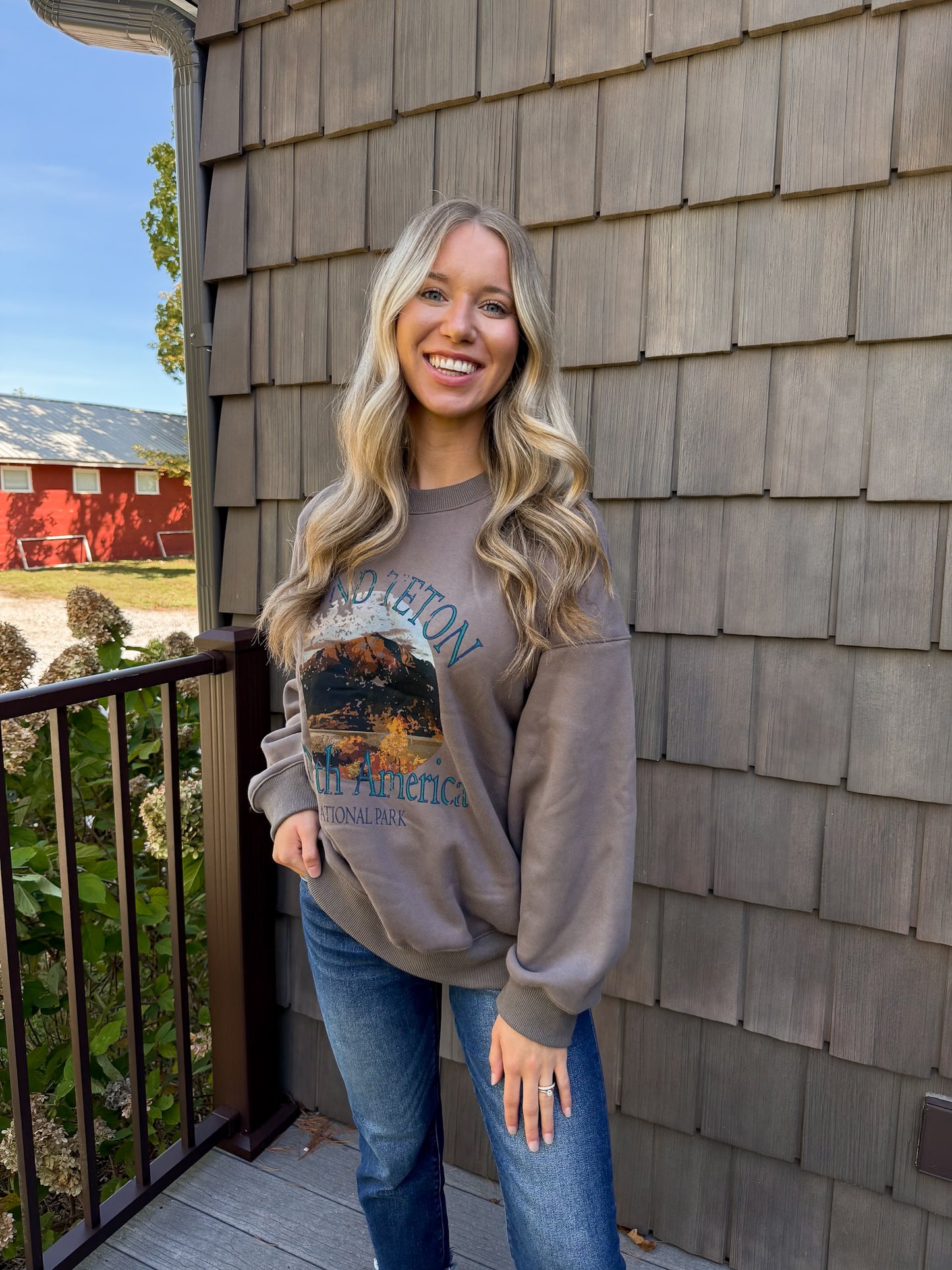 Grand Teton colorado graphic crew taupe