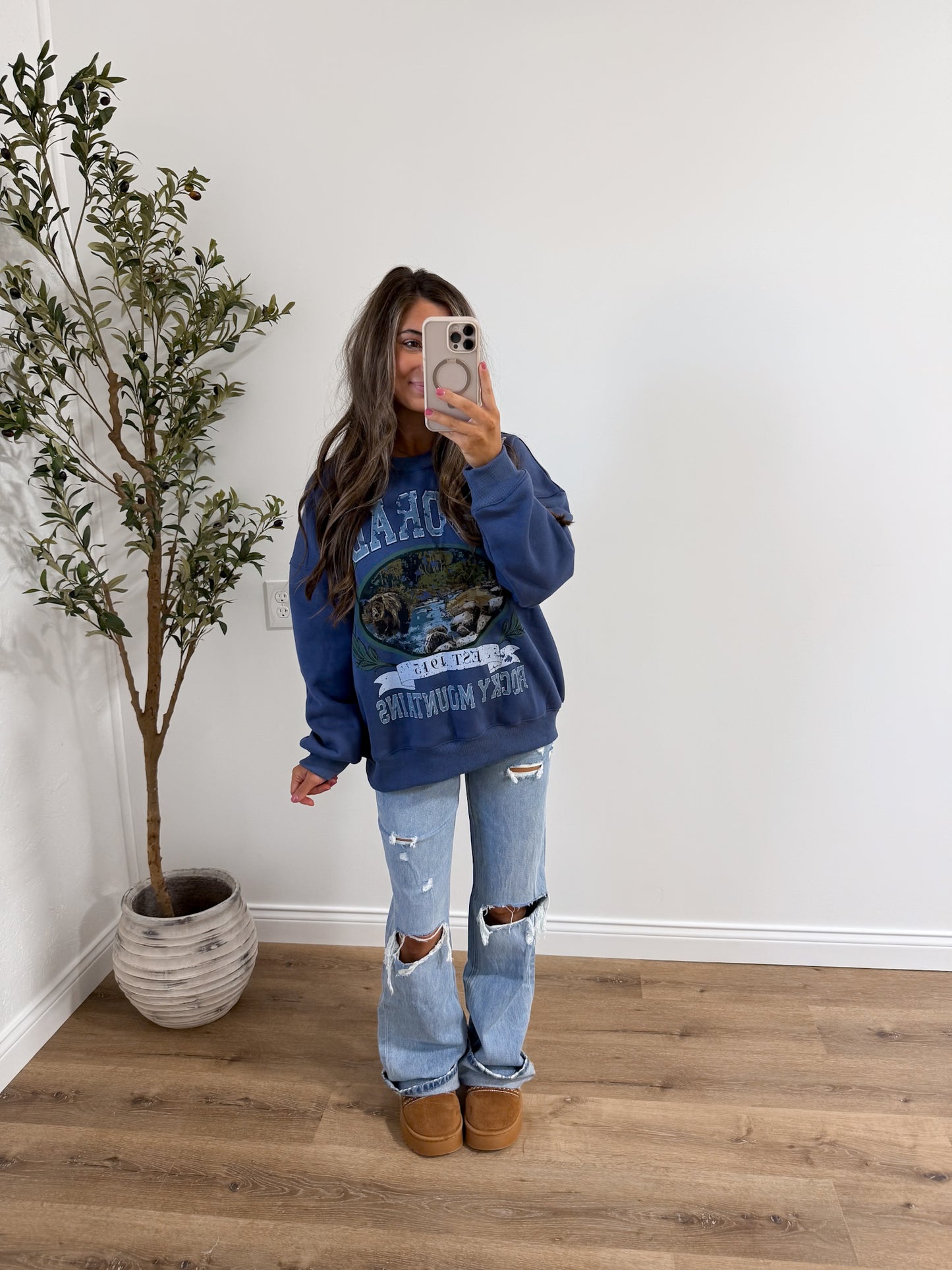 cabin fever - blue colorado graphic