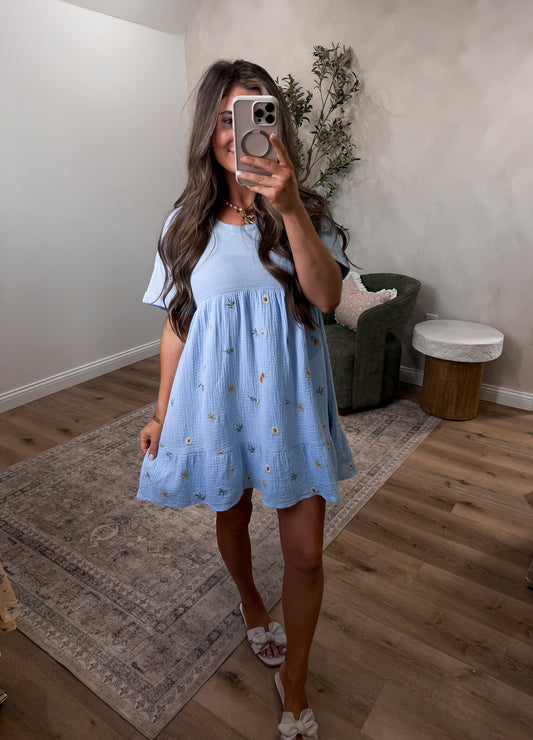 Darling Daisy Floral Embroidered Mini Dress - sky blue