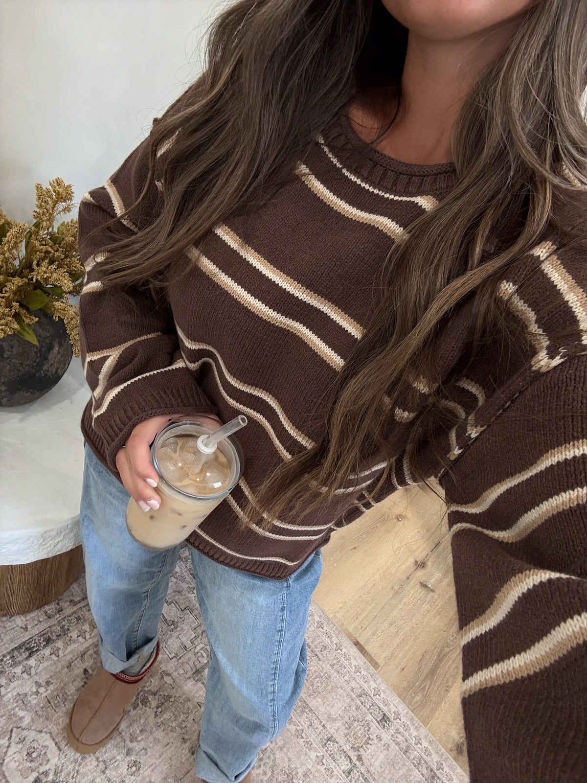 Orchard Morning Striped Knit Pullover -brown multi