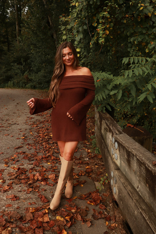 Toasty Thoughts Off Shoulders Sweater Dress - brown