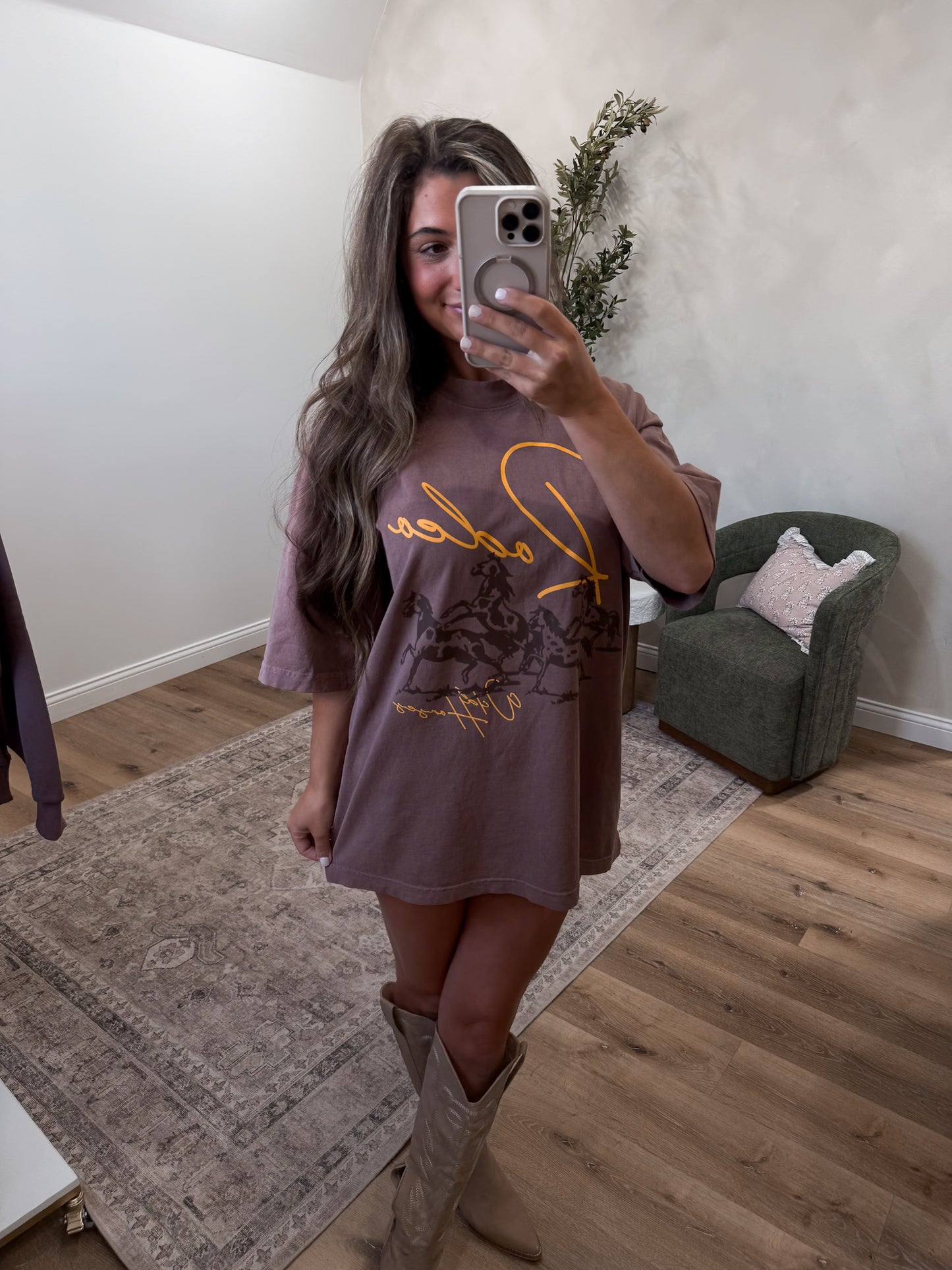Rodeo Wild Horses Graphic Tee - washed brown