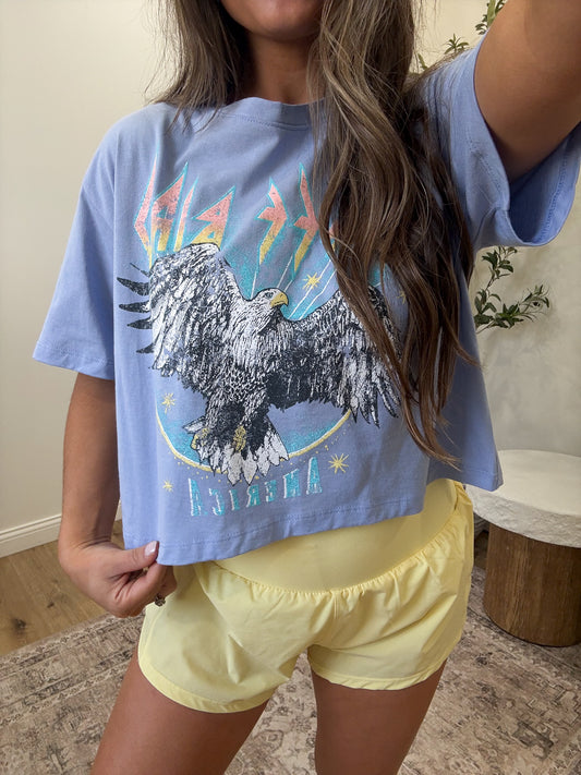 Free Bird 1976 Vintage Graphic Tee - blue